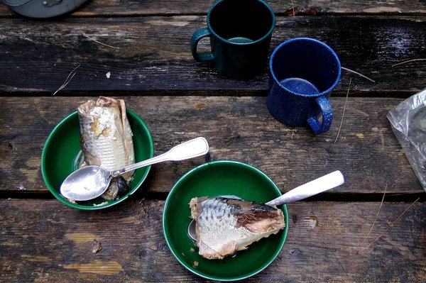 Quels sont les aliments idéaux à emporter en camping?